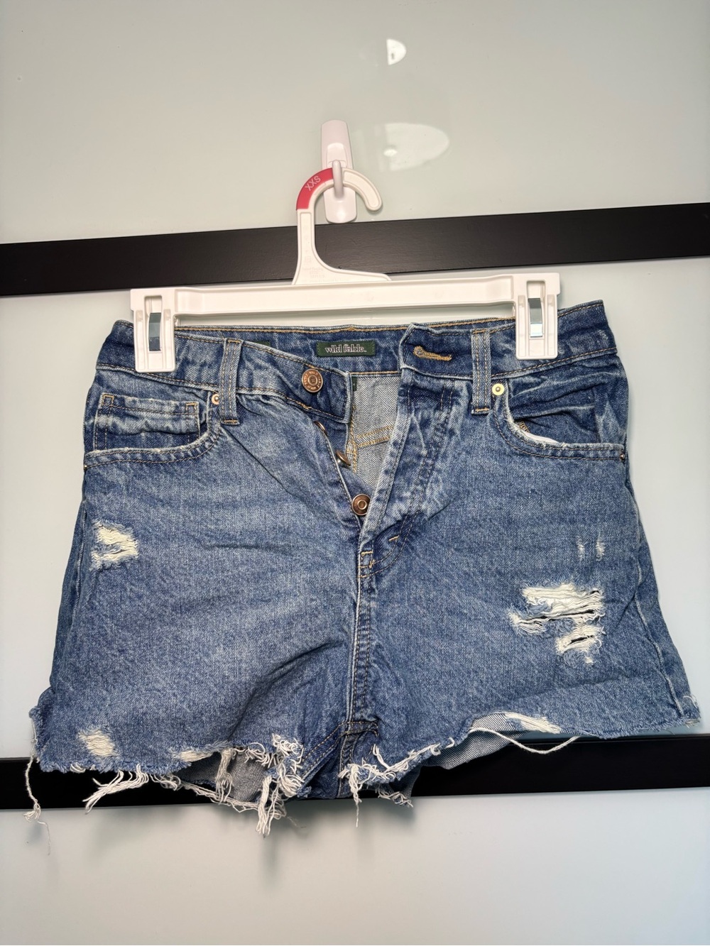 Wild fable shorts